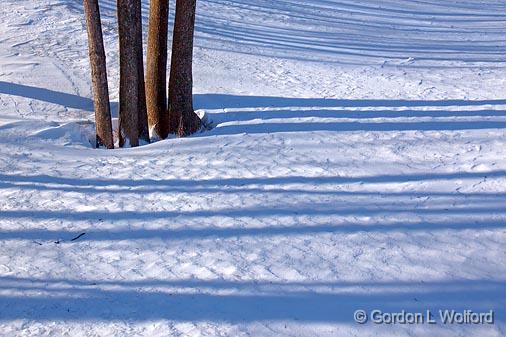 Snow Shadows_13370.jpg - Photographed at Ottawa, Ontario - the capital of Canada.
